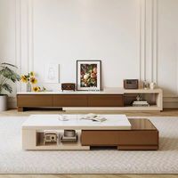 Ensemble de table basse moderne haut de gamme en pierre sculptée avec cadre en bois, meuble TV de luxe pour la maison, la villa, la chambre et le salon