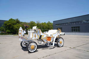 Carruaje Eléctrico Turístico a Precio de Fábrica, Carroza de Caballos de Diseño Personalizado para Alquiler en Parques, Resorts y Bodas - Product Image 5