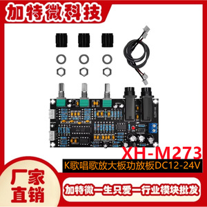 Placa de Eco para Karaoke XH-M273, Placa Amplificadora de Micrófono, Módulo de Audio DC12-24V - Product Image 4