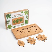 Rompecabezas Montessori OEM Personalizado con Botones de Hojas, 3 Tipos de Hojas de Plantas, Juego de Emparejamiento de Contornos de Hojas, Biología, Sensorial, Educativo