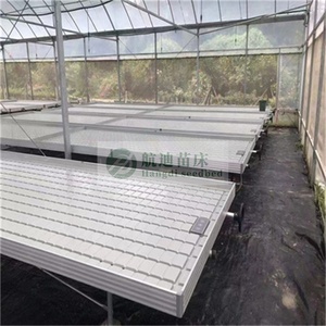 Serre agricole <span class=keywords><strong>Culture</strong></span> sans sol et système <span class=keywords><strong>hydroponique</strong></span> de <span class=keywords><strong>Culture</strong></span> de plantes fraises - Product Image 6