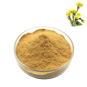 Tussilago-extracto de flores farfara Coltsfoot, fabricante de plantas naturales a bajo precio