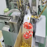 Machine d'emballage de chocolat en feuille, forme demi-ovale, haute efficacité, distribution de colle entièrement automatisée, conception personnalisée