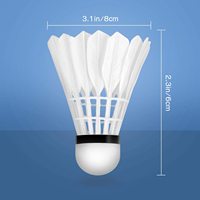 Volants de badminton très vendus et de haute qualité, pour les activités familiales et l'entraînement