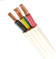 Câble électrique industriel plat en cuivre isolé et gainé en PVC à 2 conducteurs, 2,5 mm², 300/500 V, basse tension