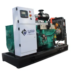 High Cost-effective gas generator 100kw 150kw 200kw Natural Gas/Biogas Generator! China Manufacturer!