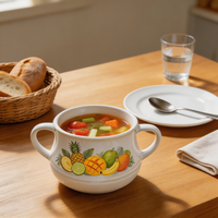 Bol à soupe en céramique à double poignée, imprimé fruits tropicaux (ananas, mangue), vaisselle en porcelaine pour la restauration en gros