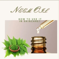 Vente en gros en vrac d'huile de Neem de qualité cosmétique Huile de support 100% pure pressée à froid pour les soins de la peau Huile de cheveux Cair