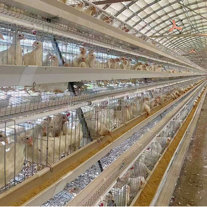 Nuova condizione BT marca 3-strati in acciaio zincato a strato di pollame gabbia controllo accurato della temperatura per pollo allevamento batteria - Product Image 5