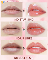 Huile à lèvres polypeptidique à marque privée, huile de graines de camélia, gloss nourrissant, extrait d'arnica, traitement réparateur des lèvres, usage professionnel en salon de maquillage