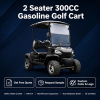 Voiturette de golf tout-terrain à moteur essence 4 temps 300 cm³ refroidi par eau avec pneus tout-terrain et propulsion arrière pour parcours de golf et complexe hôtelier