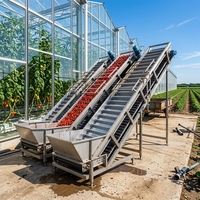 Ligne de production automatique de concentré de sauce tomate avec emballage aseptique en fût, capacité de 1 à 50 T/H