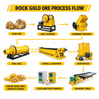 Haut taux de récupération Rock Gold Processing Plant pour l'extraction de l'or et l'usine d'extraction de l'or