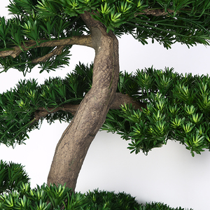 Árboles de <span class=keywords><strong>Podocarpus</strong></span> artificiales, bonsái de pino Artificial para interiores, fabricación china - Product Image 4