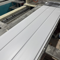 Panel de Techo Decorativo de PVC Impreso Blanco para Interiores, Tablero de Techo para Proyectos de Hoteles, Villas y Resorts, Suministro de Fábrica