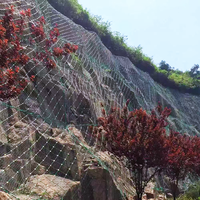 Malla de Acero Flexible BOCHANG GPS2 para Protección de Taludes Activos, Previene la Caída de Rocas y Estabiliza los Taludes