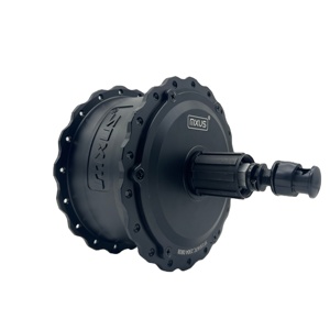 Kit de Conversión de <span class=keywords><strong>Motor</strong></span> Eléctrico para <span class=keywords><strong>Bicicleta</strong></span> MXUS de Alta Calidad y <span class=keywords><strong>Precio</strong></span> de Fábrica, 750w, <span class=keywords><strong>Motor</strong></span> de Tamaño Abierto de 175mm y 190mm - Product Image 6
