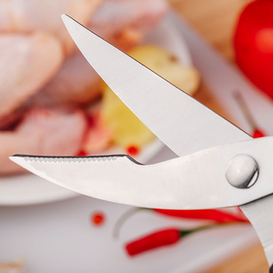 <span class=keywords><strong>Ciseaux</strong></span> <span class=keywords><strong>à</strong></span> <span class=keywords><strong>volaille</strong></span> de cuisine en acier 3Cr13 de haute qualité, meilleurs <span class=keywords><strong>ciseaux</strong></span> <span class=keywords><strong>à</strong></span> poulet robustes avec poignée en ABS, lame en acier inoxydable - Product Image 6