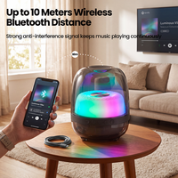 Haut-parleur karaoké sans fil 4000 mAh 10 W avec éclairage RGB, son large spectre et modification de la voix pour salons et bureaux