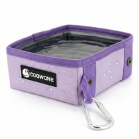 Ensemble de bols de voyage pliables 2 en 1 pour chien avec logo personnalisé, impression de motif OEM, conteneur de nourriture pour animaux de compagnie imperméable, fabricant