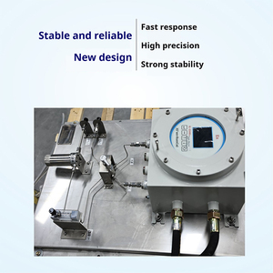 Analizador de Gases Múltiples a Prueba de Explosiones Runlai E500Ex de Rendimiento Estable, Detector de Gases Personalizable para O2, CO, CO2, CH4, CnHm, H2S, CO, NH3 - Product Image 4