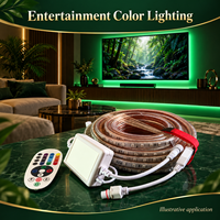 Kit de bande LED RGB 5050 en PVC classé IP65 110V, 60 LED par mètre avec télécommande et connecteurs moulés pour éclairage couleur