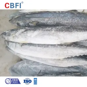 Double Spiral Freezer For Iqf Vannamei Shrimp Pd