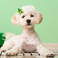 Vente en gros d'accessoires de coiffure pour chiens de compagnie irlandais St. Patrick Ins Festival Style Pet Hair Ornaments Supplies