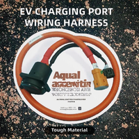 Faisceau de câblage de port de charge EV en cuivre PVC haute tension personnalisé OEM ODM assemblage de câble de véhicule à nouvelles énergies pour automobiles