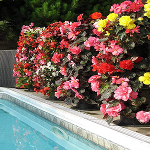 Conteneur de tour de plantes avec trou de Drainage décoration autoportante jardin treillis plante <span class=keywords><strong>Pot</strong></span> de <span class=keywords><strong>fleur</strong></span> pour vigne <span class=keywords><strong>grimpante</strong></span> fleurs - Product Image 2