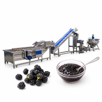 RVS-jamverwerkingslijn met hoge capaciteit, fruitjamproductie-apparatuur voor voedingsmiddelenfabrieken en drankenfabrieken