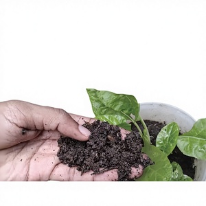 Engrais solide agricole composé de qualité export, à action prolongée pour fruits, légumes et fleurs - Product Image 1