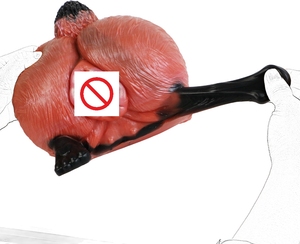 Freihändiger Masturbationsbecher für Männer mit Saugnapfbasis, Realistischer Großer Po <span class=keywords><strong>Anal</strong></span>-Masturbator, 100% Wasserdichtes TPE-Material - Product Image 3