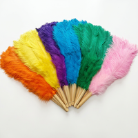 Lot de 2 éventails en plumes d'autruche, 28"x54", éventails à main moelleux pour costumes de burlesque et de danse Gatsby
