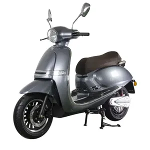 Goldenlion JS2B EEC Hot selling electric scooter two wheel classic model