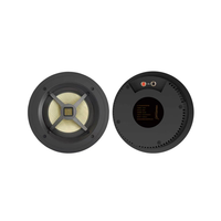 YZ566 Altavoz de Techo Pasivo de 2 Vías de 6.5 Pulgadas y 8 Ohmios, Sin Marco, Sellado, con Tweeter de Cinta AMT, 40W/80W, Altavoz de Techo HiFi