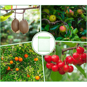 Vườn nho vườn cây ăn quả côn trùng túi lưới cho nho, cây ăn quả bảo vệ <span class=keywords><strong>Mono</strong></span> Lưới <span class=keywords><strong>Net</strong></span> màu xanh lá cây PE ngày túi, bảo vệ côn trùng túi - Product Image 3