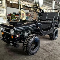 Mini jeep 2 places, moteur chinois, jeep à essence, go-kart, mini véhicules à essence pour adultes, voitures, buggy électrique, mini jeep