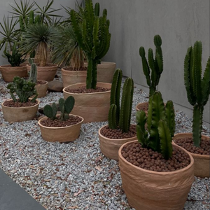 Grandi Vasi in Terracotta, Vaso da Terra Antico Stile Mediterraneo, Grandi Vasi per Alberi da Esterno - Product Image 6