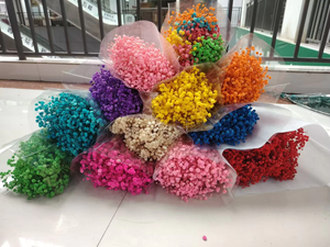 थोक संरक्षित बच्चे के सांस फूल शादी की सजावट के लिए प्राकृतिक शाश्वत जिप्सोफिला फूल - Product Image 5