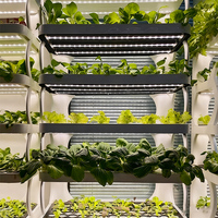 Nouveaux Systèmes de Culture Hydroponique Intelligents Verticaux pour Jardins Intérieurs 2026