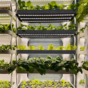 Nouveaux Systèmes de Culture Hydroponique Intelligents Verticaux pour Jardins Intérieurs 2026 - Product Image 3