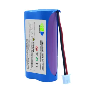 DTP personnaliser batterie au lithium 18650 li ion batterie cellule 18650-1S2P 3.7V 4400mah 5000mAh 5200mAh li-ion pack avec PCB/connecteur