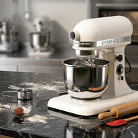 Machine à pétrir la pâte, pétrin spiral commercial pour la pâte à pizza, pâte à pâtes, équipement de cuisine pour restaurants, boulangeries