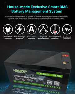 12.8Vスマートマリンリチウムイオンバッテリー12v300AhセイルボートディープサイクルLifepo4バッテリー、バスボートカタマーン用BMS付き - Product Image 6
