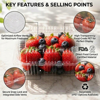 Boîte d'emballage en RPET transparente ventilée de qualité alimentaire de 650 g pour la présentation de fraises et de baies fraîches