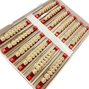 ฟันอะคริลิฟันหลังฟันอะคริลิฟันเรซินเท่านั้น - Product Image 4