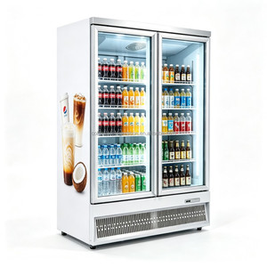 Vitrine verticale à double porte vitrée avec compresseur à montage inférieur, utilisée pour l'affichage en magasin de produits de la mer et d'aliments surgelés - Product Image 2