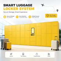 Armadietto Intelligente Baiwei per Deposito Bagagli Interno ed Esterno - Ideale per Aeroporti, Stazioni, Hotel, Parchi Divertimento e Noleggio Bagagli