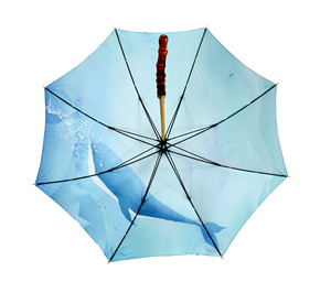 OEM/ODM <span class=keywords><strong>Parapluie</strong></span> droit imprimé baleine de style japonais avec manche en bois Protection UV Parasol contre le soleil et la pluie Fourniture directe en usine - Product Image 2